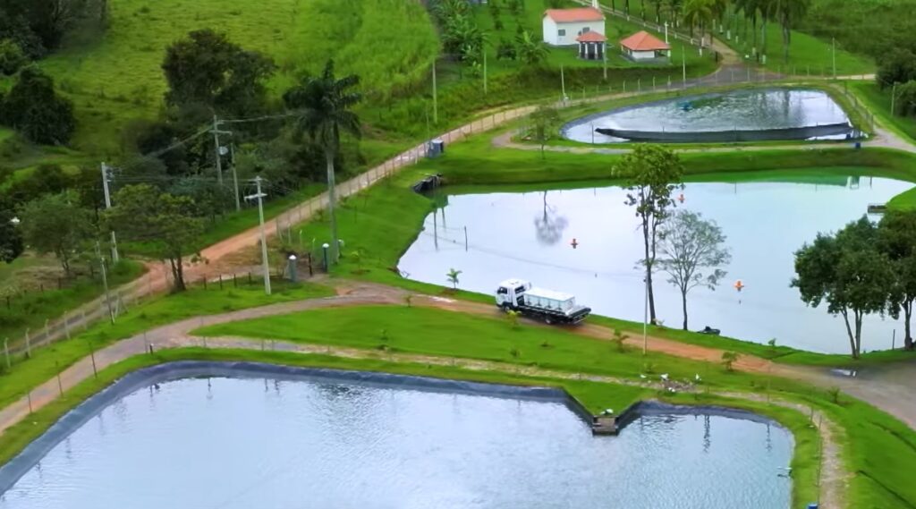 Como é feito o transporte de peixes vivos Brasil do Trecho