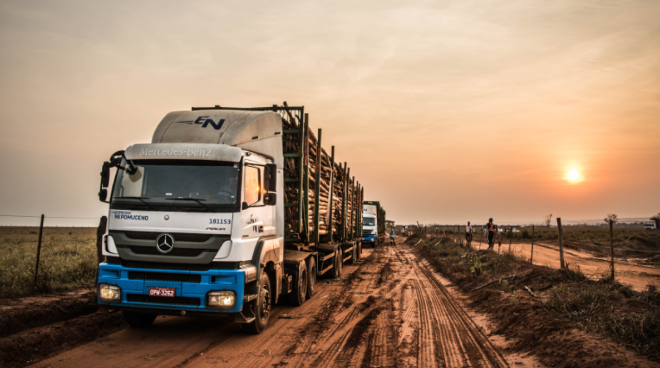 Novas Vagas: Transportadora Nepomuceno abre 40 vagas para carreteiro