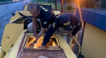 Motorista de 33 anos saiu do Paraná e receberia R$ 10 mil para transportar a droga até Minas Gerais