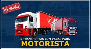 5 Transportadoras com vagas para motorista