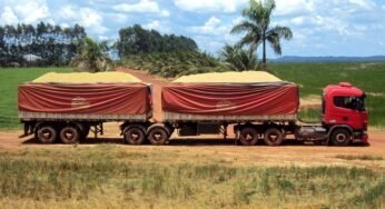 Goiás lidera recuperações judiciais no agro em 2025