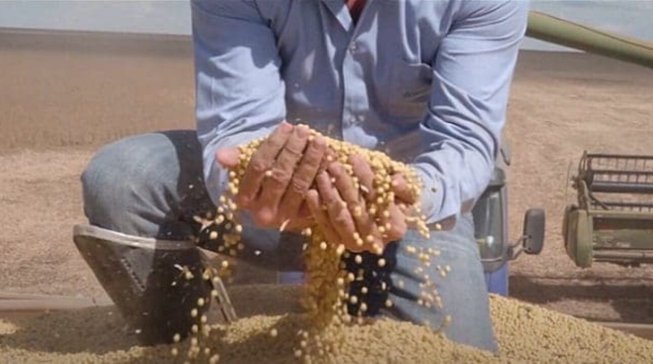 Insatisfeitos com o governo, produtores do agro ameaçam paralizar no dia 07 de dezembro