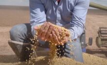 caminhoneiros podem ser beneficiar com safra de soja recorde