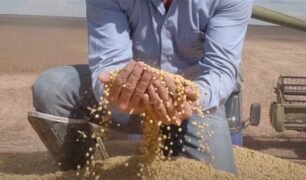 caminhoneiros podem ser beneficiar com safra de soja recorde