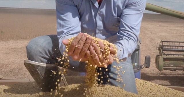 caminhoneiros podem ser beneficiar com safra de soja recorde