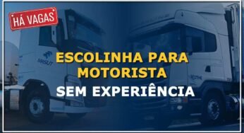 Transportadoras que oferecem escolinhas para motorista sem experiência.