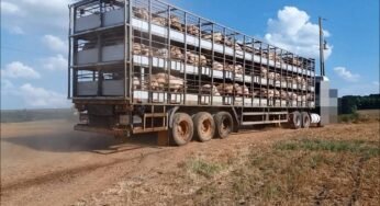 Motorista consegue comprovar na justiça que era obrigado a dirigir por 17 horas por transportadora.