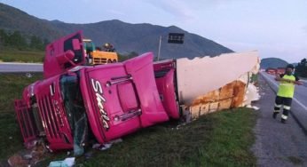 Sheila Bellaver desmente boato envolvendo o seu caminhão rosa