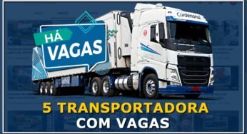 5 Transportadoras com vagas para Motorista