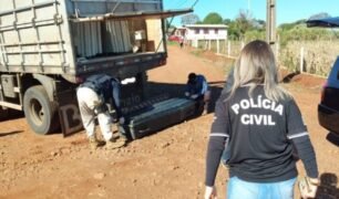 Caminhoneiro é encontrado morto preso à carga na carroceria