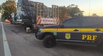 Carreta com carga superdimensionada e com defeito nos freios é flagrada pela PRF