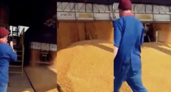 Caminhoneiro perde a paciência e descarrega no pátio da empresa.