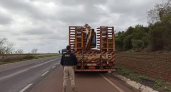 Transporte de escavadeira é impedido pela PRF