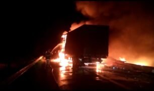 Caminhoneiro colide em anta que atravessou a pista e caminhão pega fogo