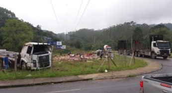Caminhoneiro com clavícula quebrada tem carga de cerveja saqueada após acidente