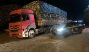 Caminhoneiro é multado em R$ 33 mil reais com carvão ilegal na BR-262