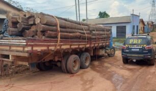 PRF flagra caminhão transportando 80 m² de tora sem nota fiscal