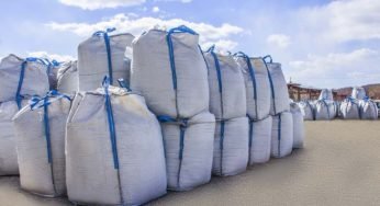 Devido ao alto custo do frete dos contêineres, o uso dos big bags aumentou bastante