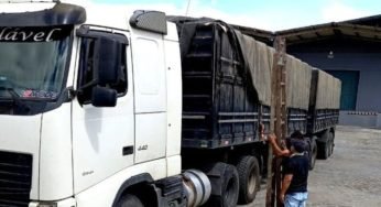 Caminhoneiro é multado em R$ 29.970 mil com irregularidade em carga