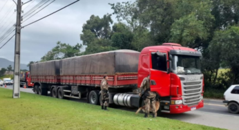 Homem é pego dirigindo carreta roubada e afirma que receberia R$ 2 mil
