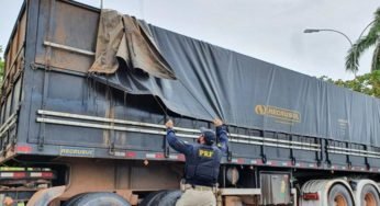 Em Vitória do Xingú no Pará, foram apreendidos mais de 100m³ de madeira em caminhão
