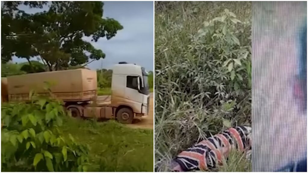 Caminhoneiro morre após estacionar na beira da estrada e ser picado por cobra