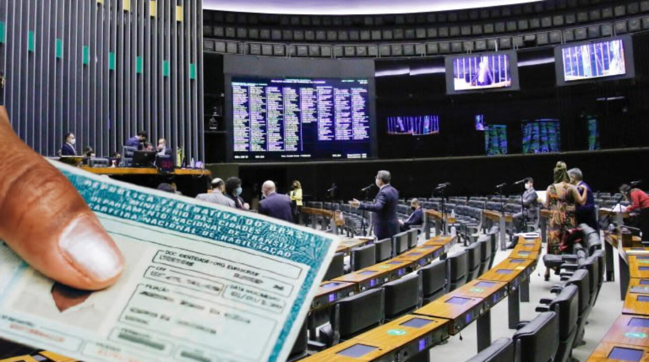 Senado Federal aprova exame toxicológico obrigatório para CNH