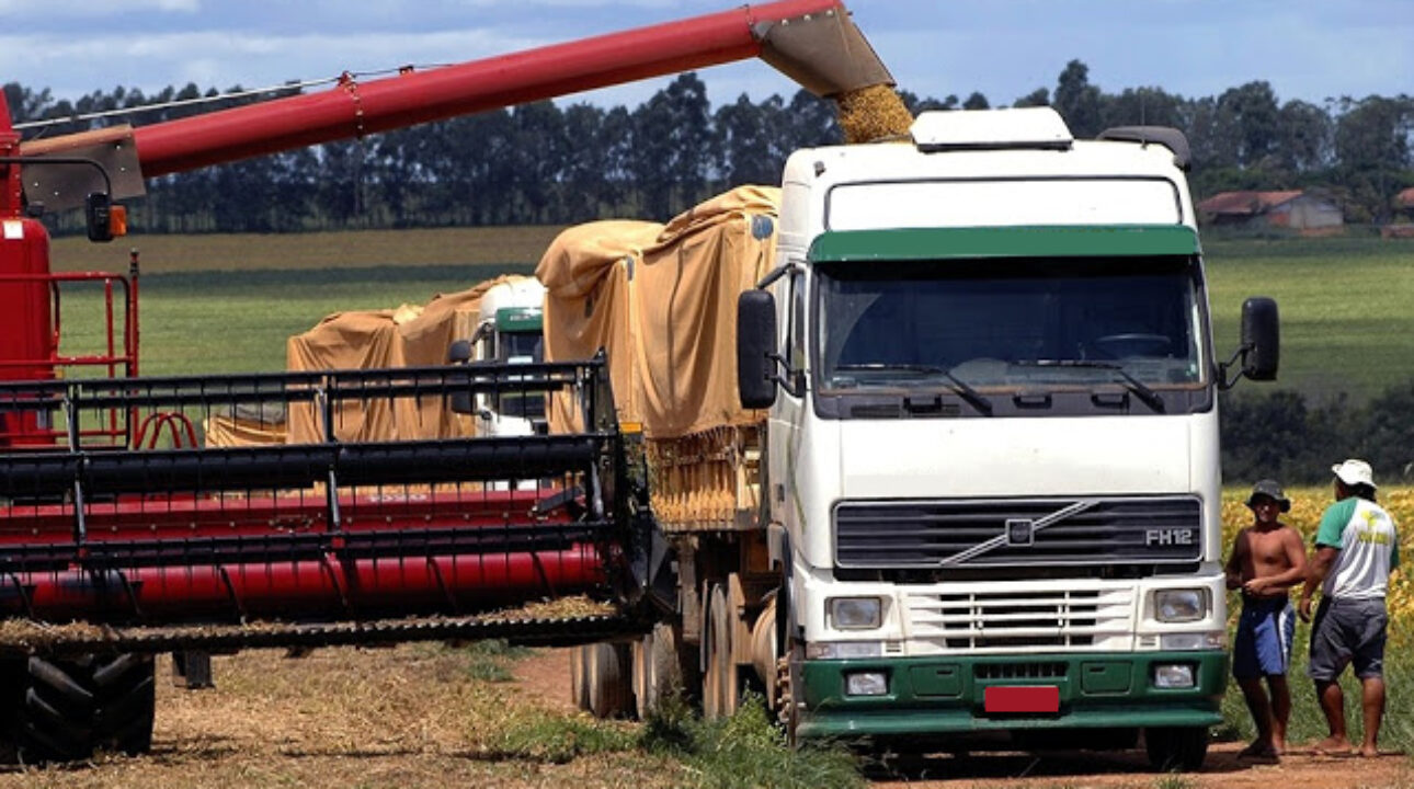 Agronegócio do Brasil bate recorde de exportação em outubro