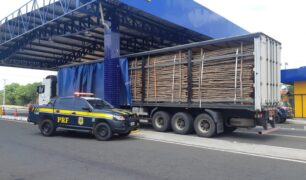 PRF flagra carreta realizando o transporte de madeira com documentação irregular