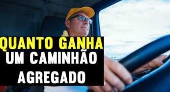 Quanto Fatura um Cavalinho Agregado em Transportadora?