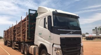 Eldorado Brasil anunciou 65 novas vagas de emprego para caminhoneiro