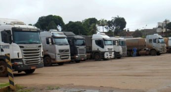 Conheça as cargas mais lucrativas no transporte de cargas