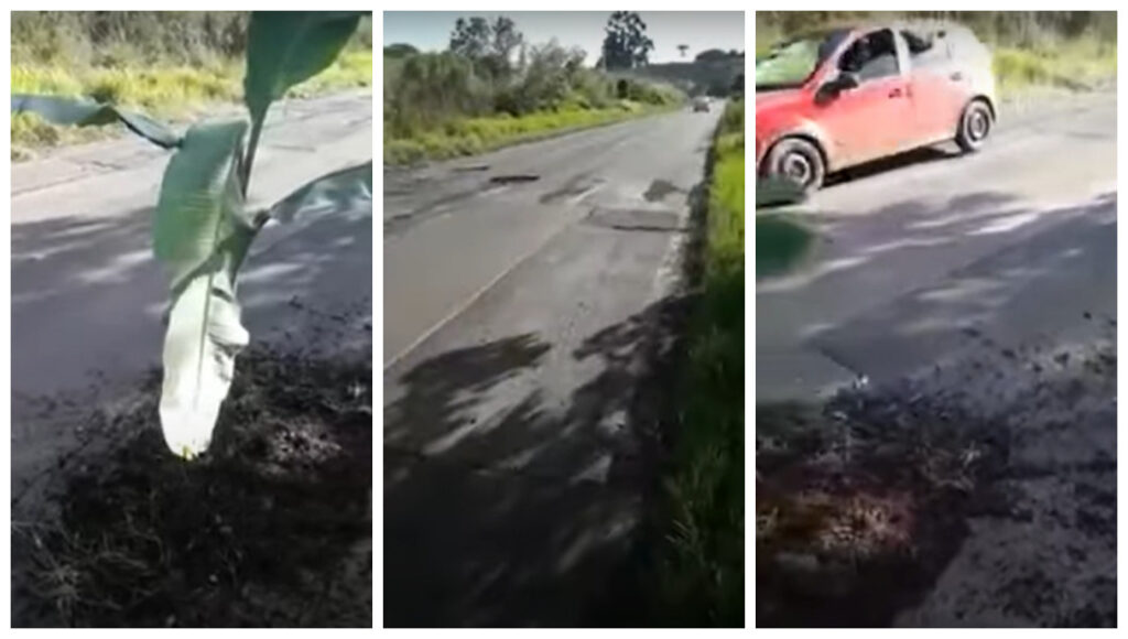 Vídeo Caminhoneiro planta bananeira em buraco na BR-283