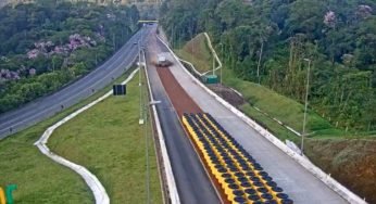 Caminhão carregando treze toneladas de tecido evita acidente ao usar área de escape