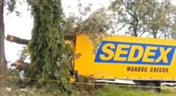 Motorista morre após sofrer mal súbito e bater caminhão em árvore em Sertanópolis