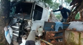 Caminhoneiro pede socorro na internet para continuar com seu sonho