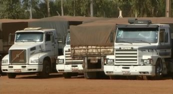 TRT reconhece tempo de espera de caminhoneiro como hora trabalhada: entenda a decisão