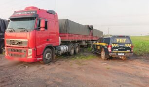 PRF apreende carreta e cerca de 30 metros cúbicos de madeira na BR-010