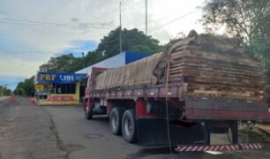 A Polícia Rodoviária Federal autuou um caminhão que trafegava com madeira nativa irregular
