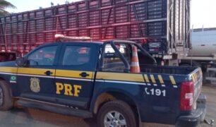 Caminhão boiadeiro é flagrado transportando animais em condições insalubres