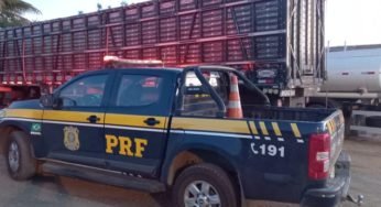 Caminhão boiadeiro é flagrado transportando animais em condições insalubres