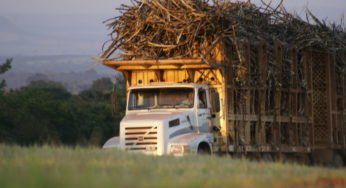 Documento regula transporte de cana-de-açúcar por caminhões