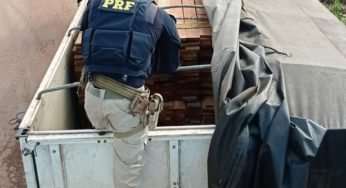 Excesso de carga de madeira transportada irregularmente é apreendida