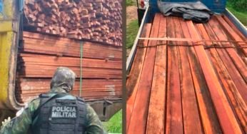 CIPAmb carried out the seizure of trucks with illegal wood