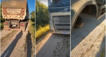 Caminhoneiro é rendido e ladrões levam todos os pneus