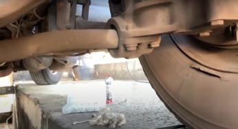 A importância de entrar debaixo do caminhão