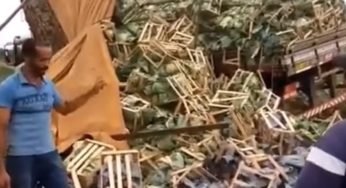 Vídeo mostra um caminhão carregado de verduras tombando devido ao peso excessivo da carga