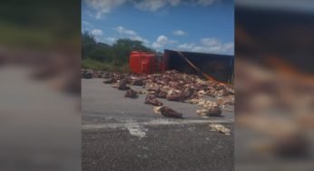 Polêmico! Caminhão tomba e revela carga inusitada