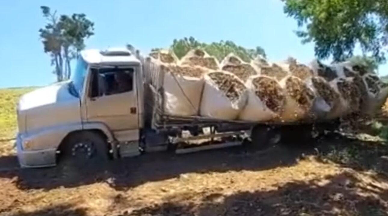 Caminhão tomba ao ser guinchado no meio da roça