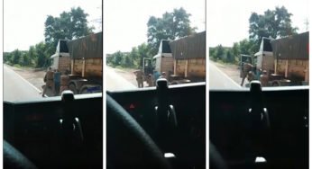 Veja o momento exato da prisão do motorista que deixou sete pessoas mortas